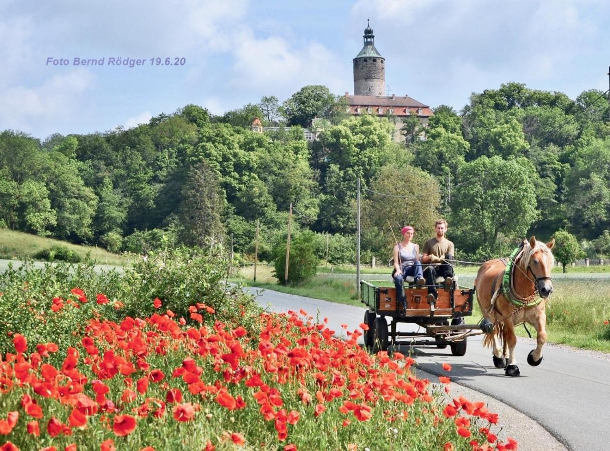 Pension Gruenes Herz Tonndorf Eksteriør billede